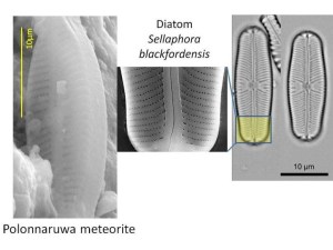 Fonte Foto: http://blog.focus.it/una-finestra-sull-universo